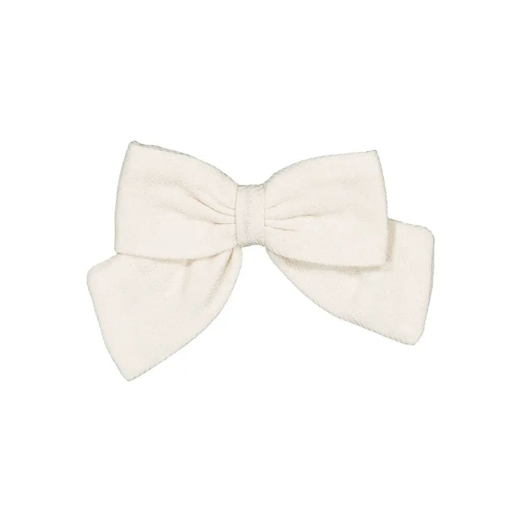 P260319102816-Zoom-RAW-22_alpha (1).webp