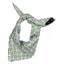 P260319102816-Zoom-RAW-25_alpha (1).webp