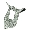 Foulard VENDÔME- carreaux vert