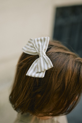 [SS25-D2-BARRET-HALLES-RAYUREBEIGE] Barette HALLES - rayures beige